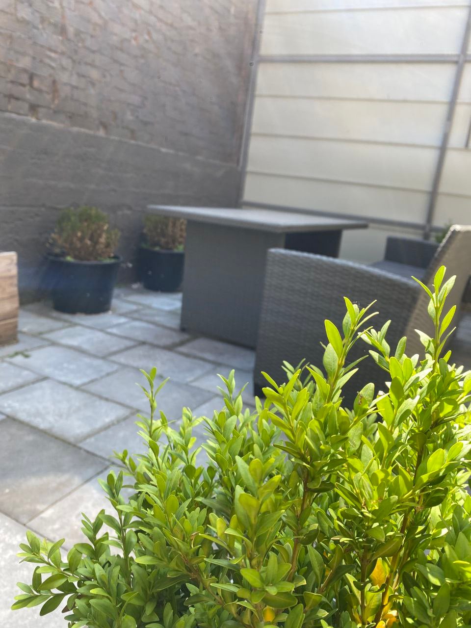 Люкс 2 - фото 2